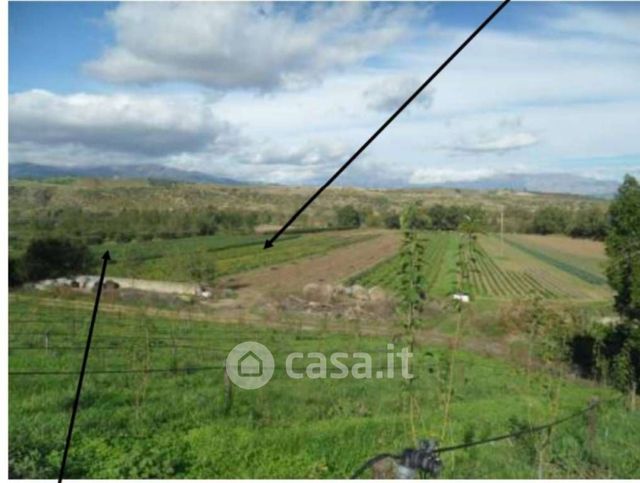 Terreno agricolo in commerciale in Contrada Padelli