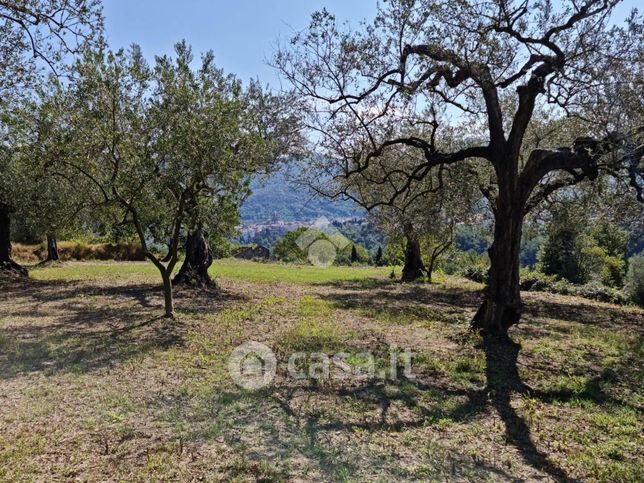 Terreno agricolo in commerciale in 