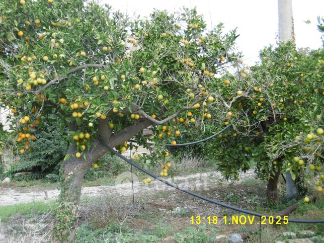 Terreno agricolo in commerciale in 