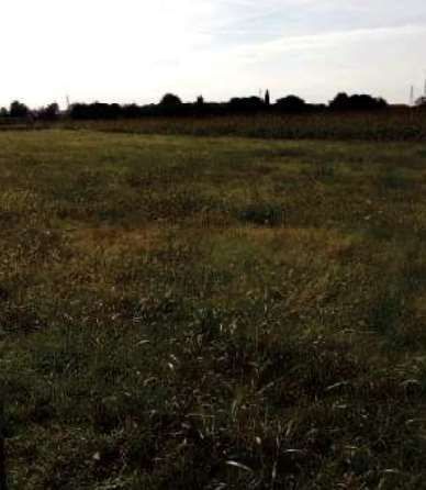 Terreno agricolo in commerciale in Via Carbonara