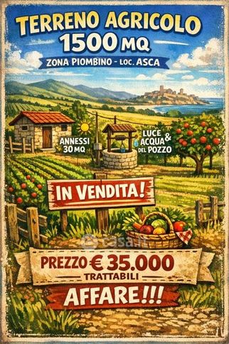 Terreno agricolo in commerciale in LocalitÃ  Asca