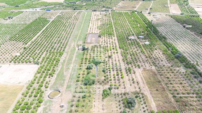 Terreno agricolo in commerciale in Via Santa Croce