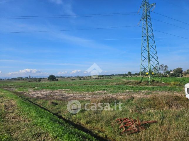 Terreno agricolo in commerciale in Via Fiorentina 101