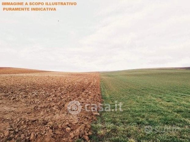 Terreno agricolo in commerciale in Via Callano