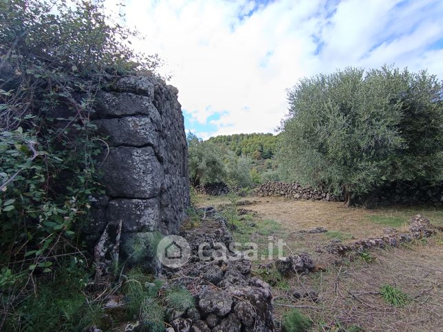 Terreno agricolo in commerciale in Solicchiata