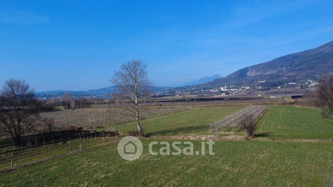 Terreno agricolo in commerciale in Via Ceredello di Sotto