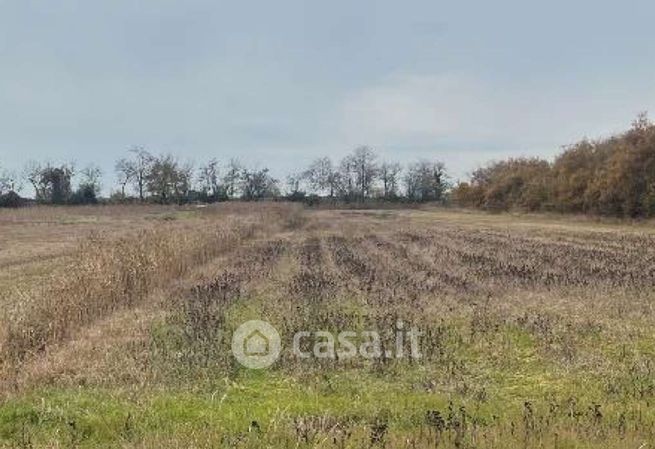 Terreno agricolo in commerciale in Borgo San Pietro
