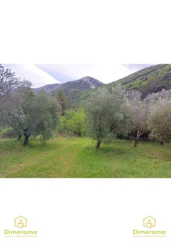 Terreno agricolo in commerciale in Corso Antonio Gramsci