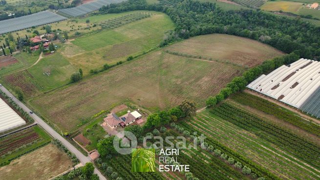 Terreno agricolo in commerciale in Via Apriliana