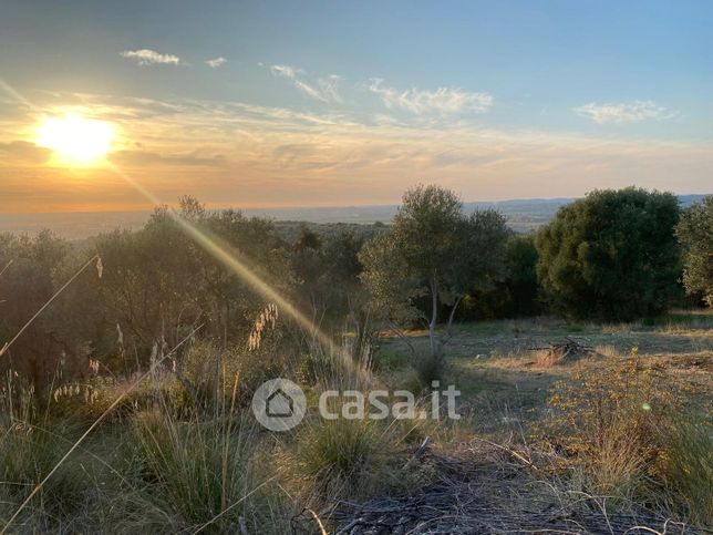 Terreno agricolo in commerciale in SP31a