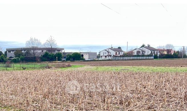 Terreno agricolo in commerciale in Vicinale delle Valli