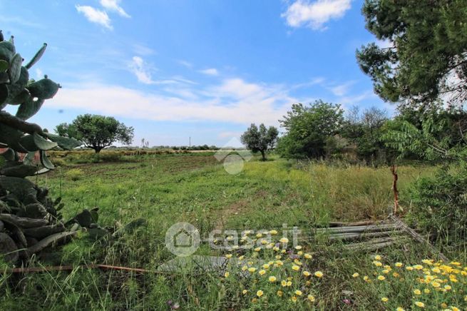 Terreno agricolo in commerciale in Località Santa Domenica