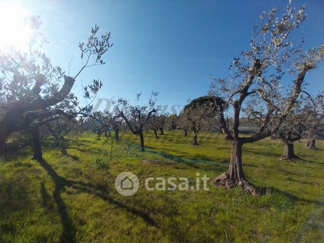 Terreno agricolo in commerciale in 