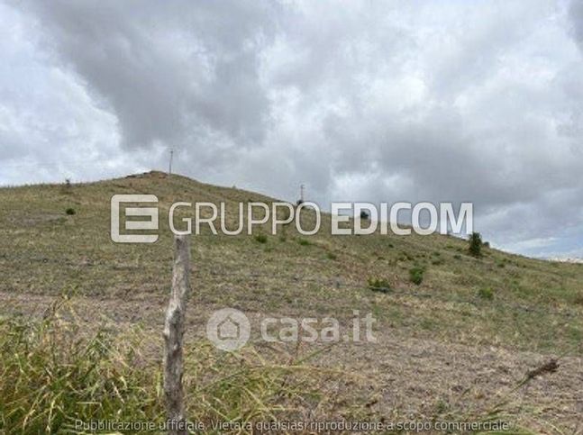 Terreno agricolo in commerciale in Piazza Giacomo Matteotti