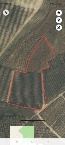 Terreno agricolo in commerciale in Via salere