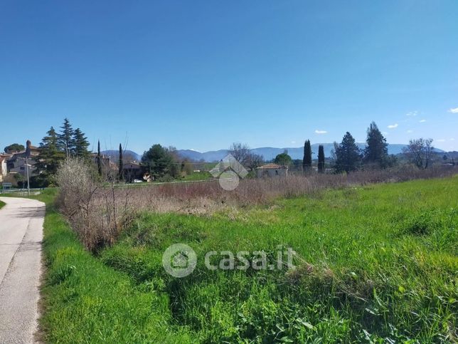 Terreno agricolo in commerciale in Via Pilone