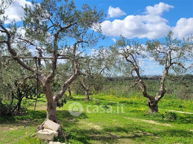 Terreno agricolo in commerciale in Contrada Quarto