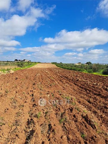 Terreno agricolo in commerciale in 