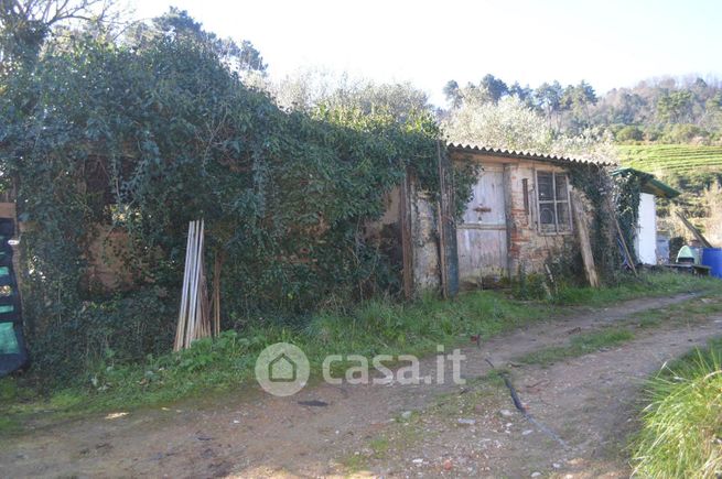 Terreno agricolo in commerciale in Via Cecchelli