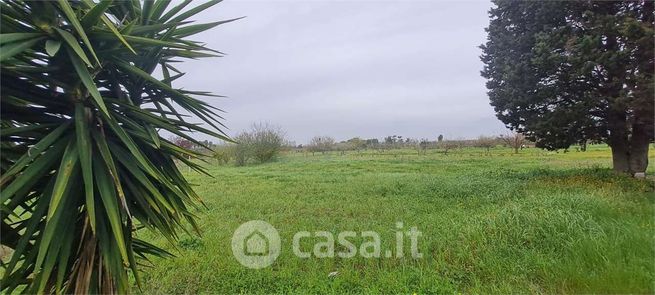 Terreno agricolo in commerciale in Via Corsica