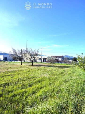 Terreno agricolo in commerciale in Strada Provinciale 23b