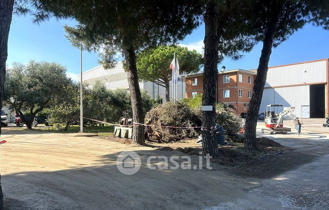 Terreno agricolo in commerciale in Località Montegemoli