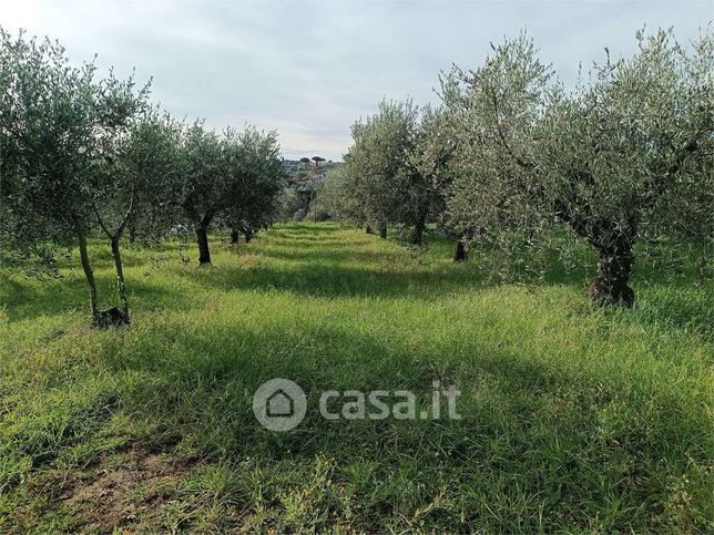 Terreno agricolo in commerciale in Via della Lite 10