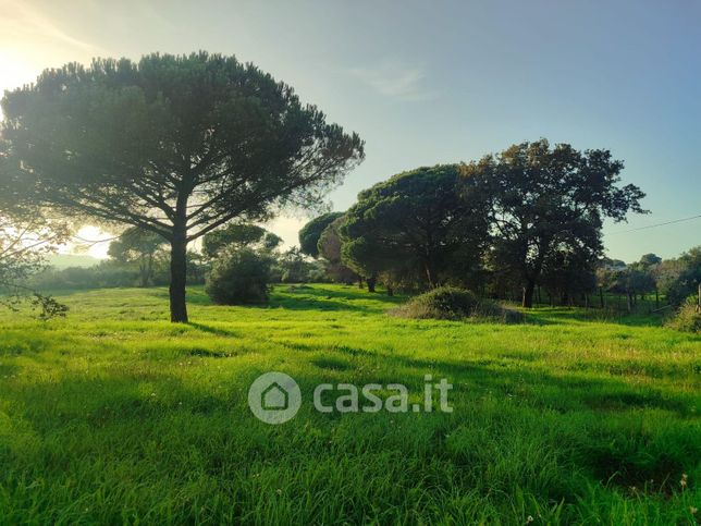 Terreno agricolo in commerciale in Via delle Molare