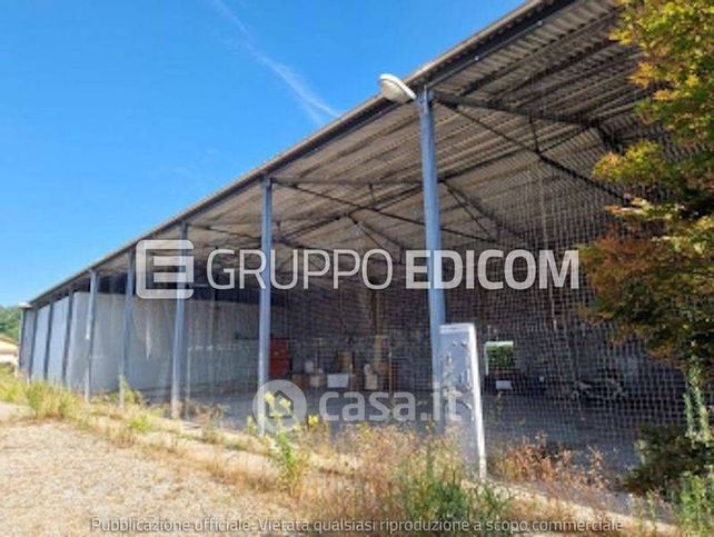 Capannone in commerciale in Via Santo Stefano
