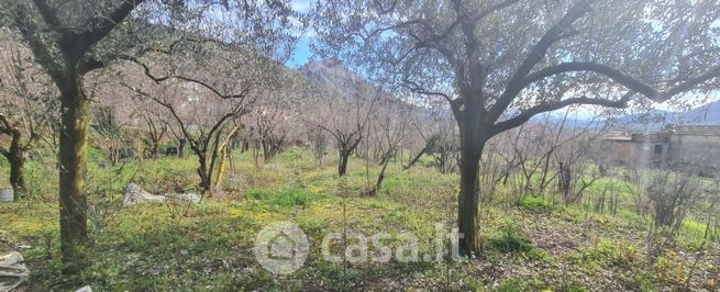 Terreno agricolo in commerciale in Via Casa Martino
