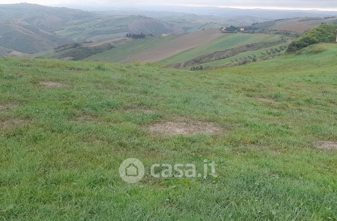 Terreno agricolo in commerciale in Frazione Fonte di Campo