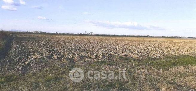 Terreno agricolo in commerciale in Via Selva