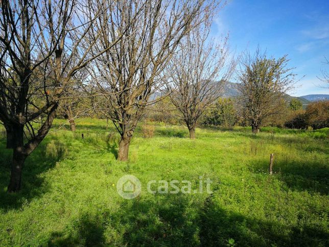 Terreno agricolo in commerciale in 