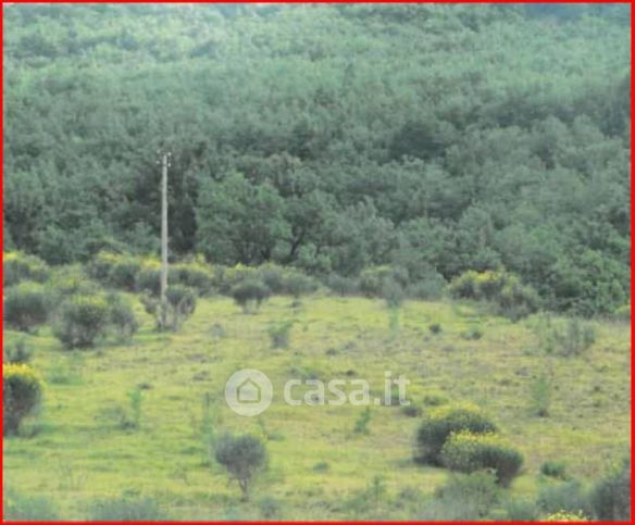 Terreno edificabile in residenziale in Strada Provinciale 50