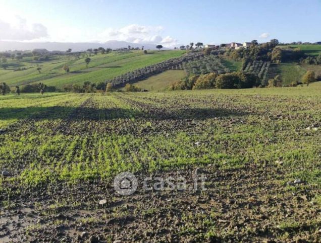 Terreno edificabile in residenziale in Contrada Macchia