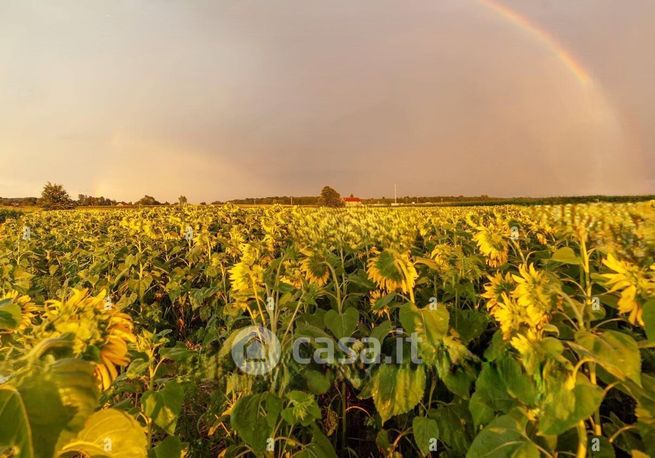 Terreno agricolo in commerciale in 