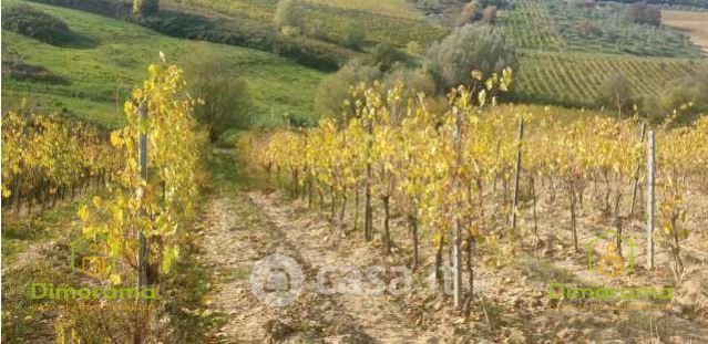 Terreno agricolo in commerciale in Via Torribina