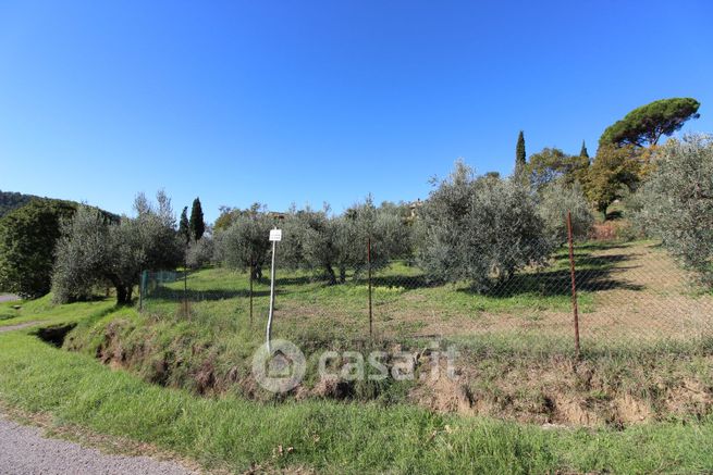 Terreno agricolo in commerciale in loc. ristonchia