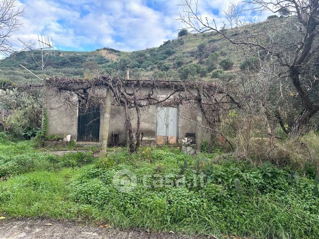 Terreno agricolo in commerciale in fiasco baldaia