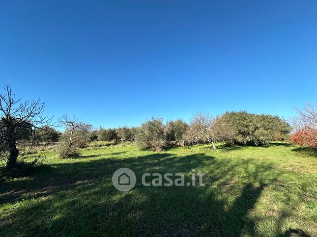 Terreno agricolo in commerciale in Via Monti