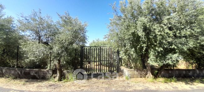 Terreno agricolo in commerciale in Strada Iazzo Vecchio