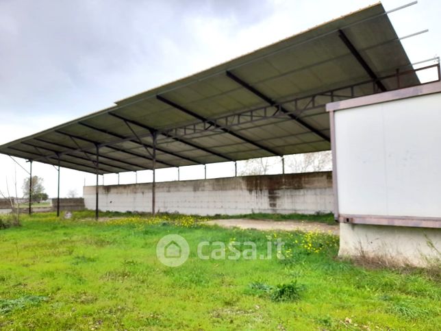 Terreno agricolo in commerciale in Strada Provinciale Santa Maria a Cubito Giugliano 36