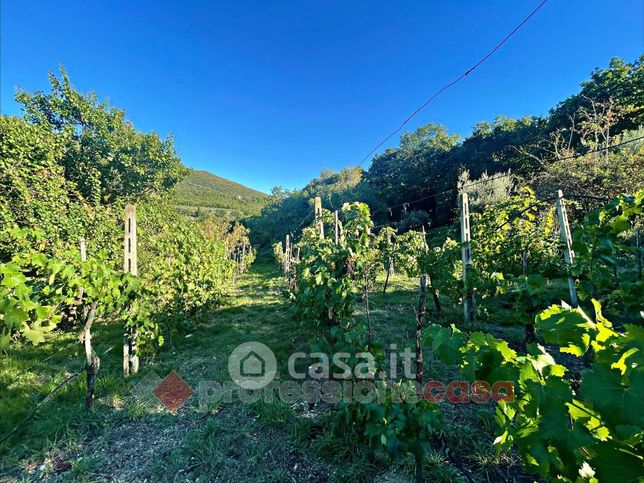 Terreno agricolo in commerciale in Via Mariano Bartolucci