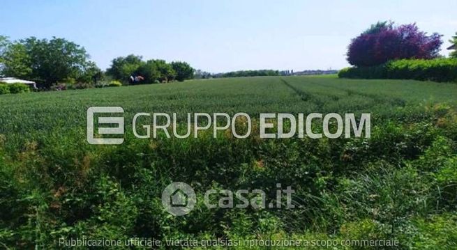 Terreno agricolo in commerciale in Corso Silvio Trentin