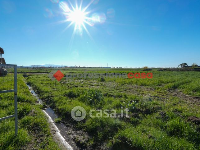 Terreno agricolo in commerciale in Via la Pila