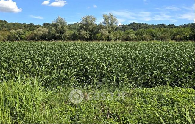 Terreno agricolo in commerciale in Strada di Gogna