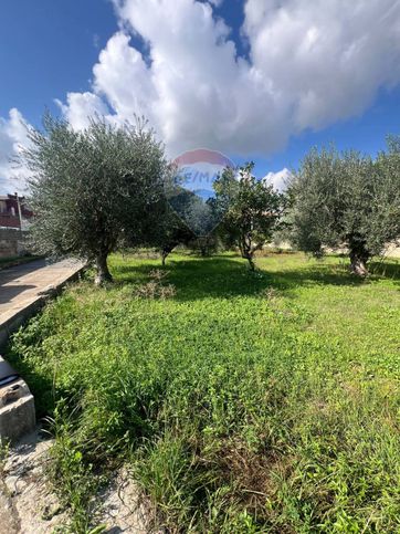 Terreno agricolo in commerciale in Via Rimini 11