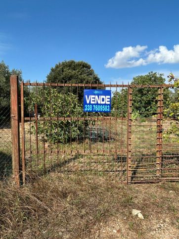 Terreno agricolo in commerciale in