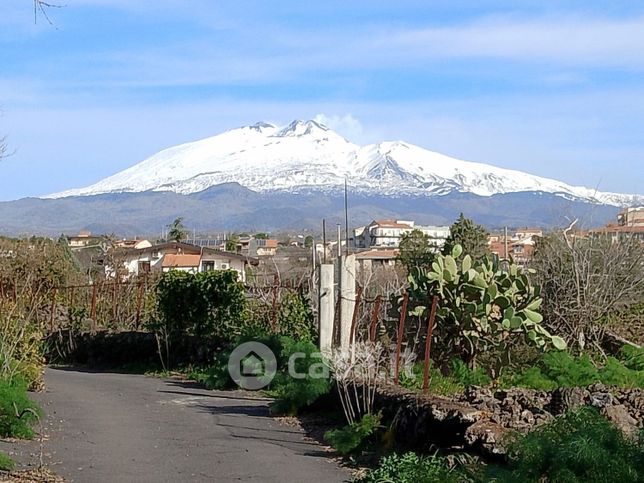 Terreno agricolo in commerciale in Strada Comunale Raffo