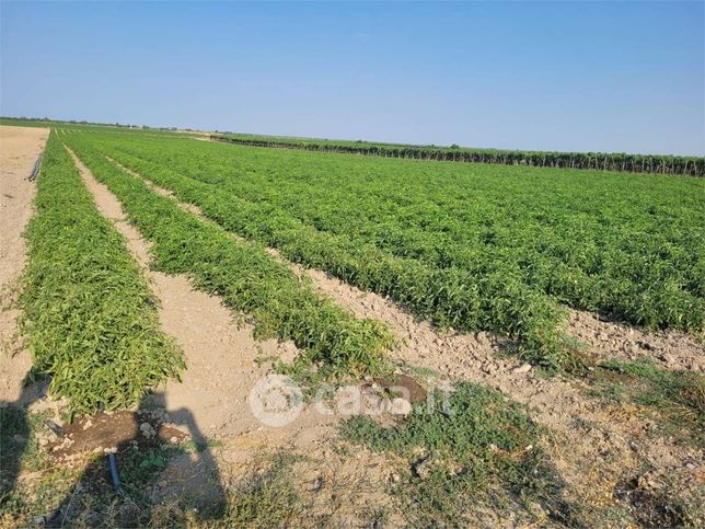 Terreno agricolo in commerciale in Strada Statale 544